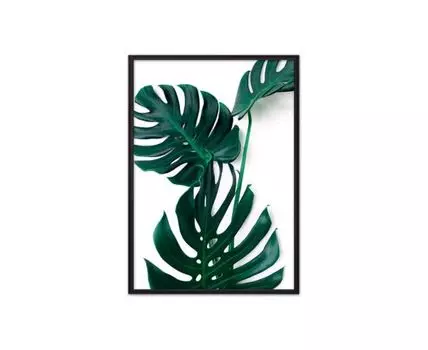 Постер в рамке Бирюзовая монстера 40х60 см (Зеленый, 60)