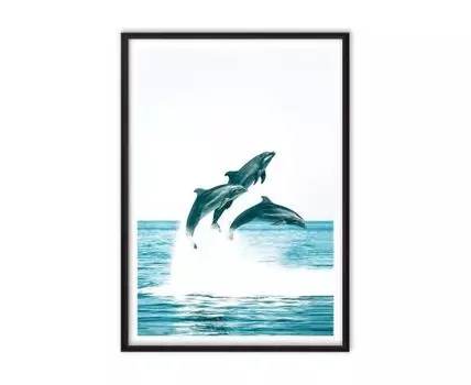 Постер в рамке Дельфины