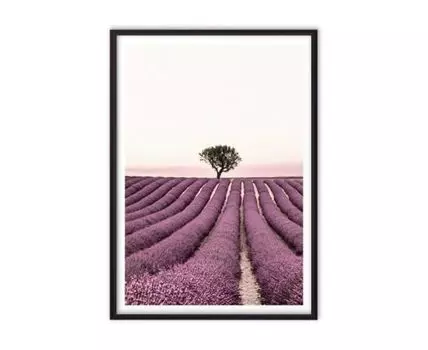 Постер в рамке Дерево на лавандовом поле