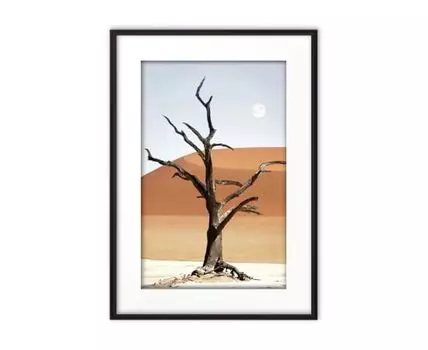 Постер в рамке Дерево в пустыне