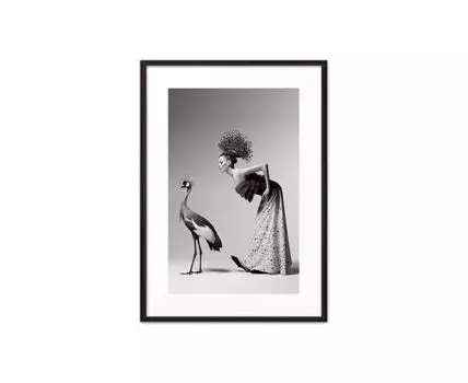 Постер в рамке Девушка и журавль 50х70 см (черный, белый, 70)