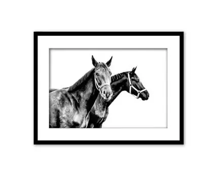 Постер в рамке Две лошади 2