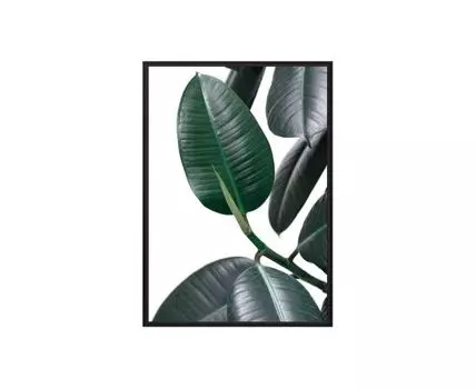 Постер в рамке Фикус 50х70 см (Зеленый, 70)
