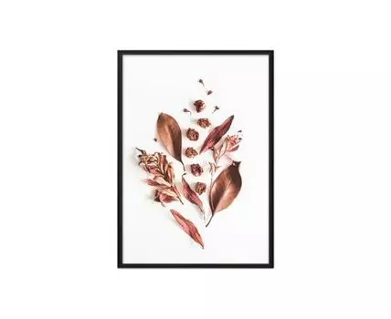 Постер в рамке Гербарий 40х60 см (белый, оранжевый, 60)