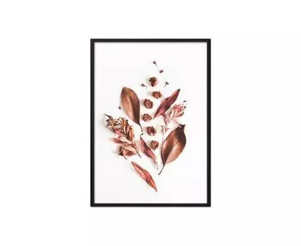 Постер в рамке Гербарий 50х70 см (белый, оранжевый, 70)