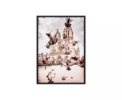 Постер в рамке Голуби Нотр-Дам 50х70 см (белый, серый, 70)