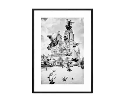 Постер в рамке Голуби Нотр-Дам ЧБ