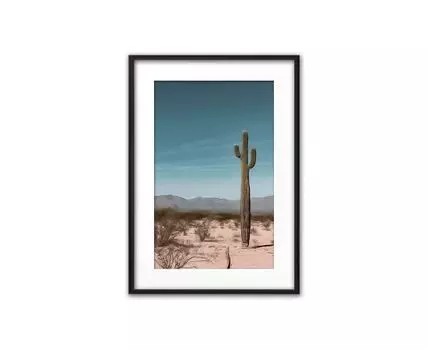 Постер в рамке Кактус в пустыне 50х70 см (голубой, бежевый, 70)