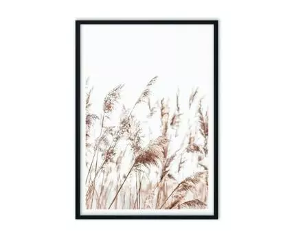 Постер в рамке Камыши