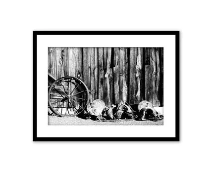 Постер в рамке Конная амуниция