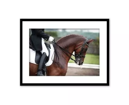 Постер в рамке Конная прогулка