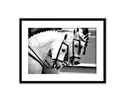 Постер в рамке Конный строй