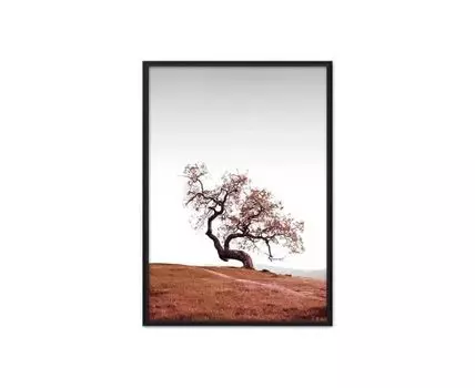 Постер в рамке Красное дерево 50х70 см (белый, красный, 70)