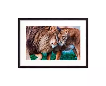Постер в рамке Львиная любовь 30х40 см (бежевый, зеленый, 40)