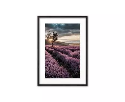 Постер в рамке Лавандовое поле 50х70 см (Фиолетовый, 70)