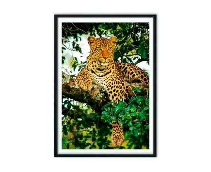 Постер в рамке Леопард 2