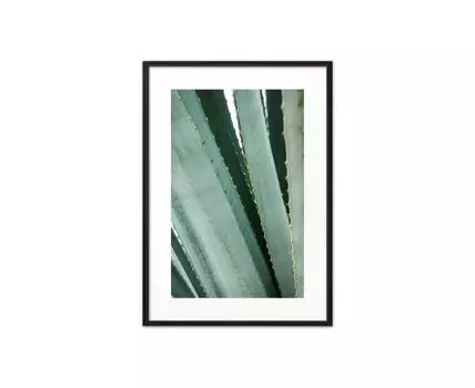 Постер в рамке Листья алое 30х40 см (Зеленый, 40)