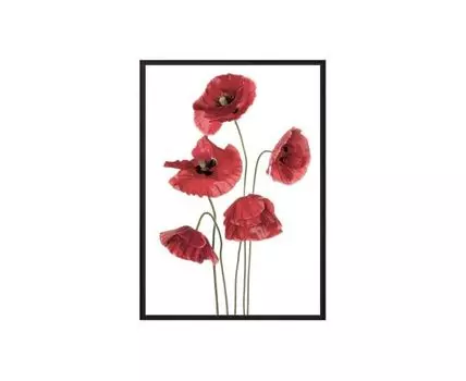 Постер в рамке Маки 30х40 см (белый, красный, 40)