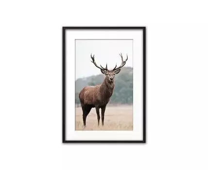 Постер в рамке Олень 1 40х60 см (Коричневый, 60)