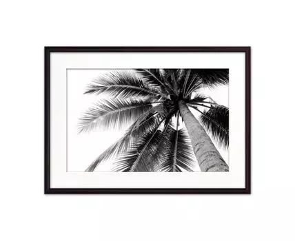Постер в рамке Пальма 21х30 см (черный, белый, 30)