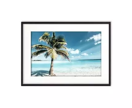 Постер в рамке Пальма на пляже