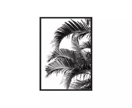 Постер в рамке Пальмовые листья 40х60 см (черный, белый, 60)