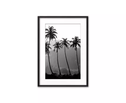 Постер в рамке Пальмы 50х70 см (черный, белый, 70)