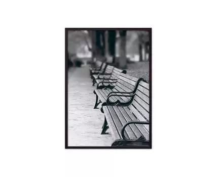 Постер в рамке Парковая аллея 50х70 см (белый, черный, 70)