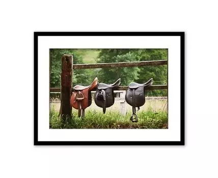 Постер в рамке Перед прогулкой