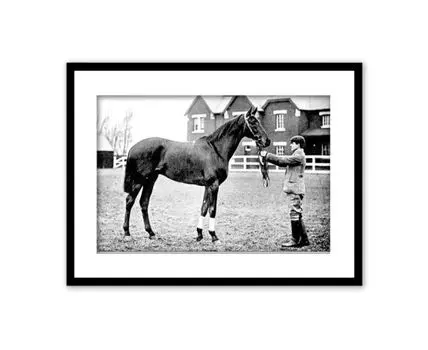 Постер в рамке Перед скачками