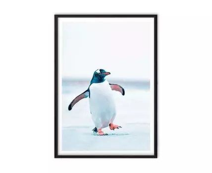Постер в рамке Пингвин