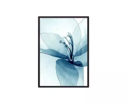 Постер в рамке Прозрачный цветок 50х70 см (Голубой, 70)