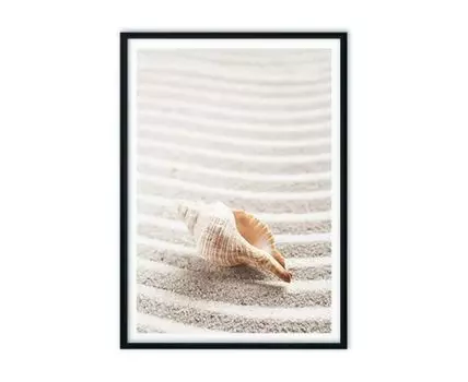 Постер в рамке Ракушка