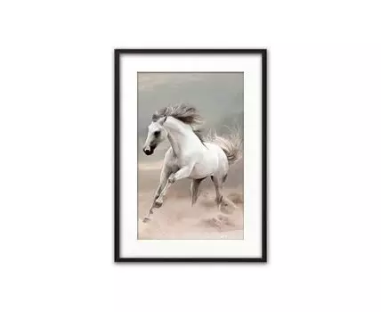 Постер в рамке Резвая лошадь 50х70 см (Белый, 70)
