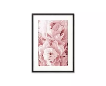 Постер в рамке Розовые пионы 30х40 см (Розовый, 40)