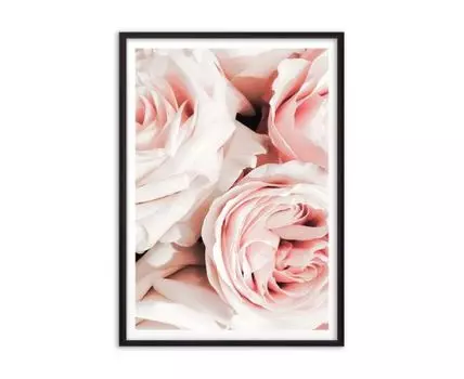Постер в рамке Розовые розы