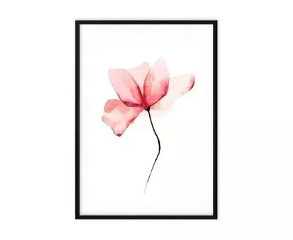 Постер в рамке Розовый цветок