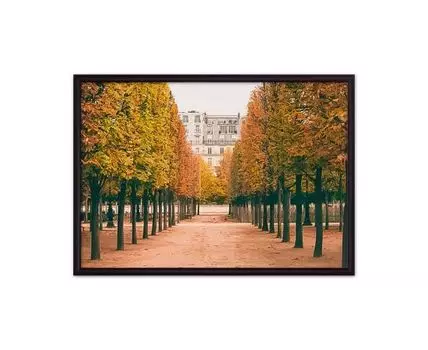 Постер в рамке Сад Тюильри 30х40 см (оранжевый, 40)