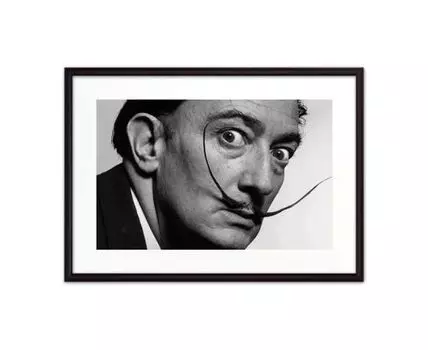 Постер в рамке Сальвадор Дали 30х40 см (черный, белый, 40)