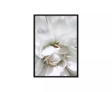 Постер в рамке Сердце астры 50х70 см (белый, черный, 70)