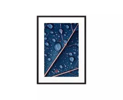 Постер в рамке Синий лист 21х30 см (Голубой, 30)