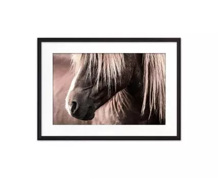 Постер в рамке Скандинавская лошадь 1 50х70 см (Белый, 70)