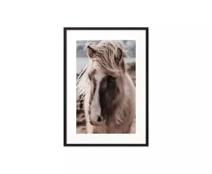 Постер в рамке Скандинавская лошадь 2 30х40 см (белый, коричневый, 40)