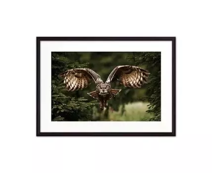 Постер в рамке Сова 21х30 см (Зеленый, 30)