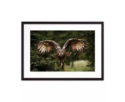 Постер в рамке Сова 40х60 см (Зеленый, 60)