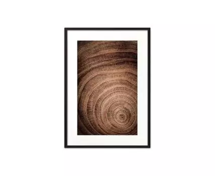 Постер в рамке Срез дерева 50х70 см (коричневый, оранжевый, 70)