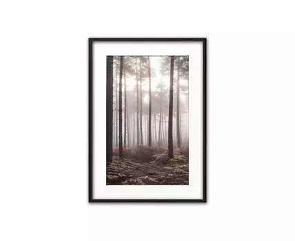 Постер в рамке Туманный лес 50х70 см (Красный, 70)