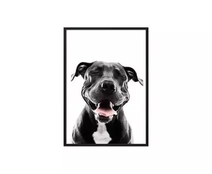 Постер в рамке Улыбающийся пес 40х60 см (белый, черный, 60)