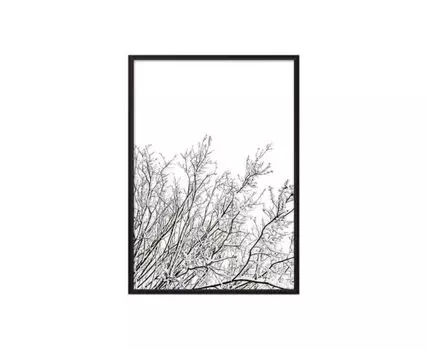 Постер в рамке Ветки в инее 50х70 см (черный, белый, 70)