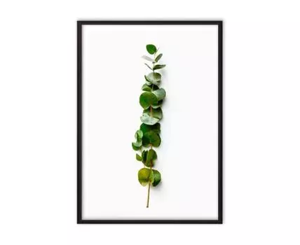 Постер в рамке Зеленая веточка